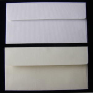 [�Ҹ�] ������ 16x8cm