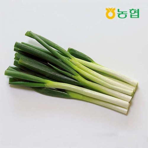 GAP인증 농협선별 대파 1.6kg 800gx2봉