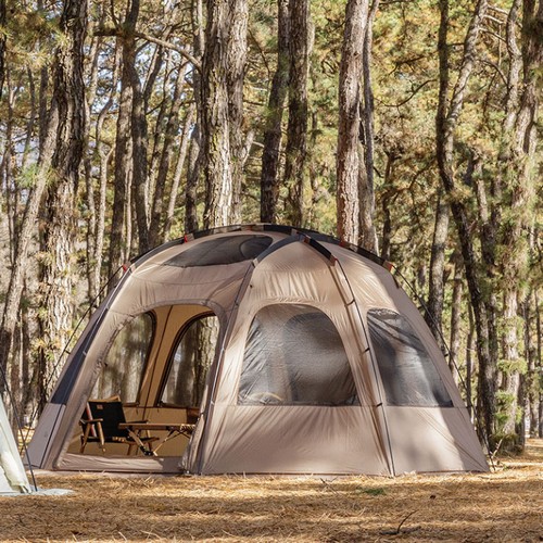 �ں��� ��Ÿ�� ���� 2 ź