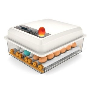 [불명] Flechazo 병아리 조류 16란 자동부화기_이미지