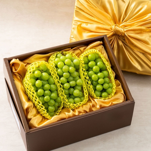 과일꾼 샤인머스켓 고급 선물세트 2~3수 2kg