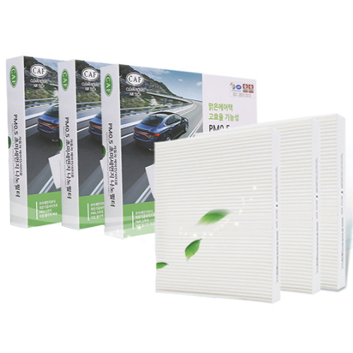 ���������� �������� PM0.5 �ʹ̼����� ���� ���������� 048N