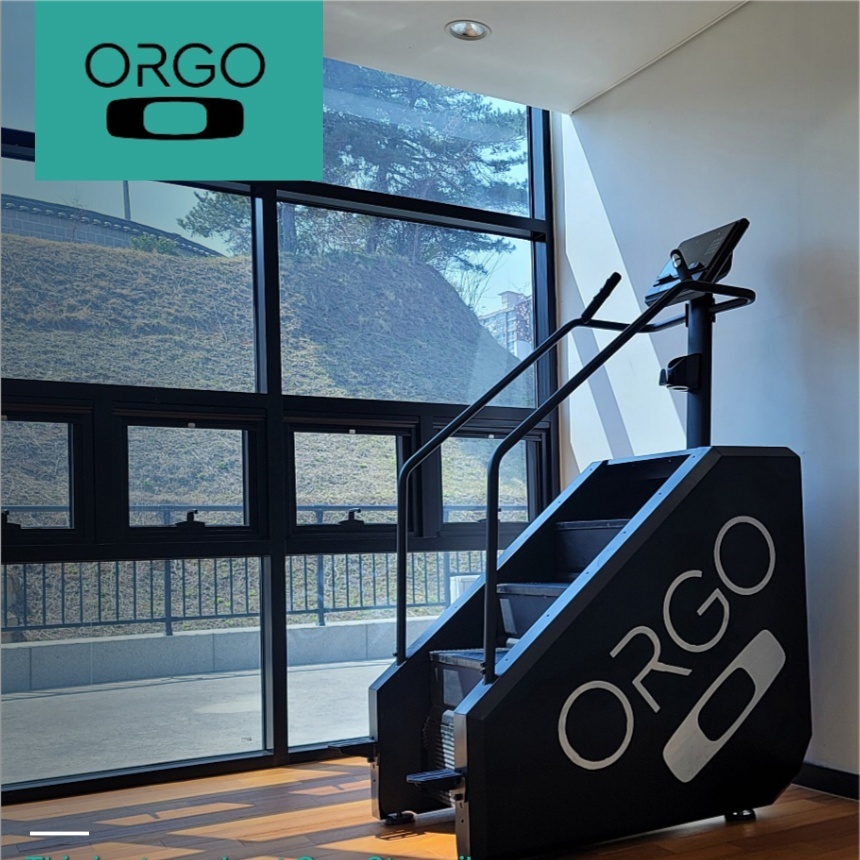 오르고 뉴오르고 1000 스텝밀