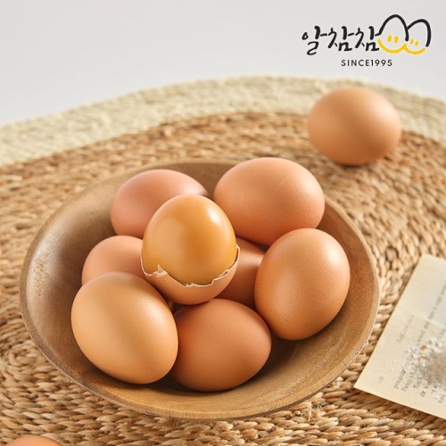 ������ HACCP ������ ��� 30��