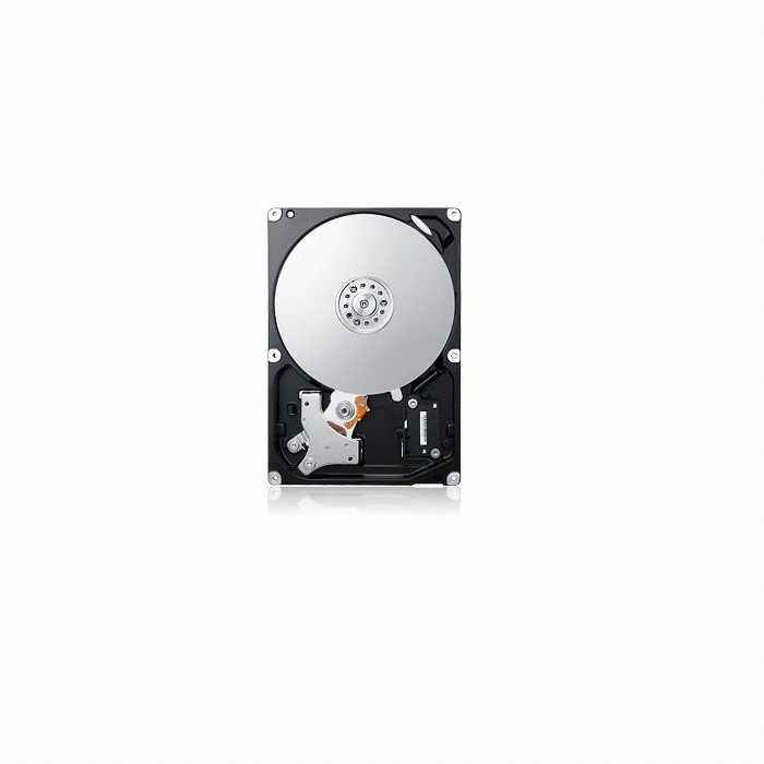 삼성전자 Spinpoint F4 SATA2/7200/16M (HD322GJ/OEM, 320GB)_이미지