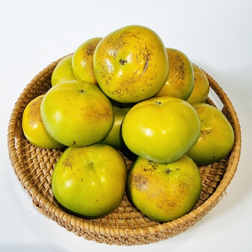 ���̿�Ǫ�� ���ߴܰ� �ߴ�� 5~8�� 1.5kg