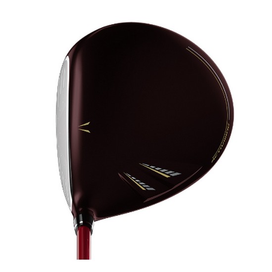 ���� ���ÿ� 13 ����̹�