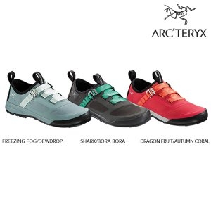 여성 아라키스 어프로치 (AFISW18720)