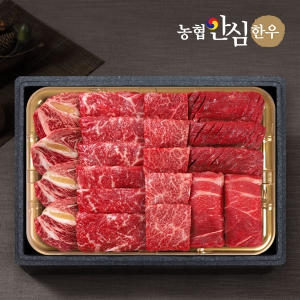 늘조은푸드 농협안심한우 1등급 한우 모듬채반 1kg