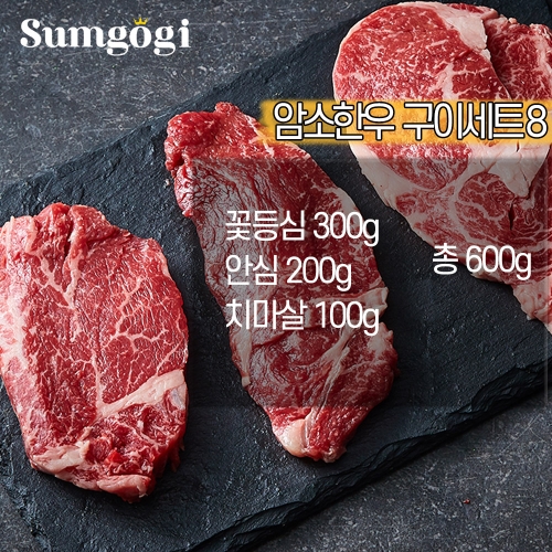 무등육가공 농협안심한우 암소한우 치마살 1등급 300g (1개)_이미지
