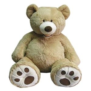 �ڽ�Ʈ�� ���� ������