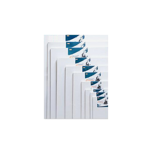 아트메이트 전문가용 면천 캔버스 F (10호)_이미지