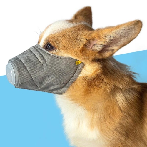 강아지 미세먼지 마스크