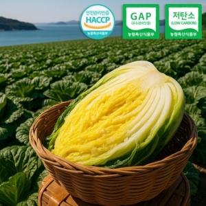팜컨 GAP 저탄소인증 팜컨 해남 해풍맞은 명품 절임배추 20kg (1개)