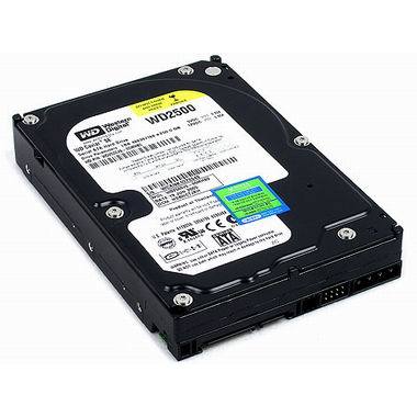 Western Digital WD 250GB Caviar SE WD2500JS (SATA2/7200/8M)_이미지