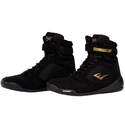 에버라스트 엘리트 2_이미지