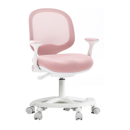 에이픽스게이밍 라베스토 어린이 의자 CC02