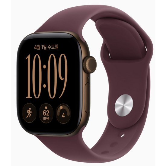 APPLE ��ġ �ø���12 42mm �˷�̴�