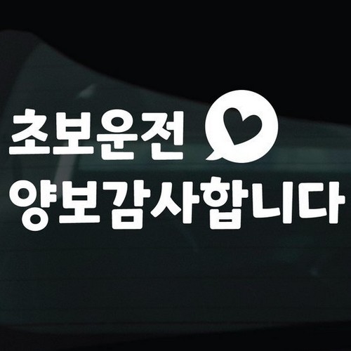 디자인황소 초보운전 스티커 16 초보운전 양보감사합니다