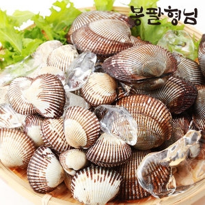 봉팔형님 산지직송 제철 새꼬막 대품 1.5kg 국내산 꼬막_이미지