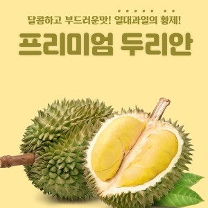 고씨네 냉동두리안500g 두리안 냉동두리안 두리안냄새_이미지