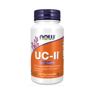 UC-II 비변성 2형 콜라겐 120캡슐