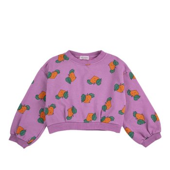 �������� ���� ������ ����Ʈ���� B126AC044K_511