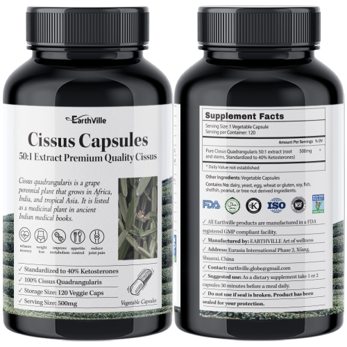 어스빌 프리미엄 50배 고동축 시서스 알약 120캡슐 (2개)_이미지