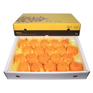 삼다몰 제주 한라봉 중 5kg