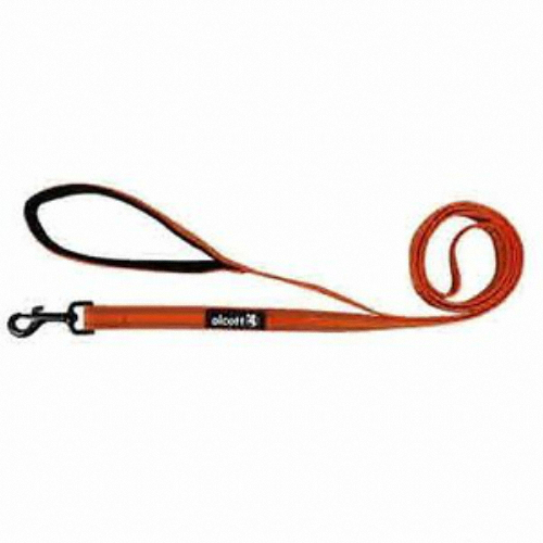 ���� �ݷ��� ������ ��Ȳ