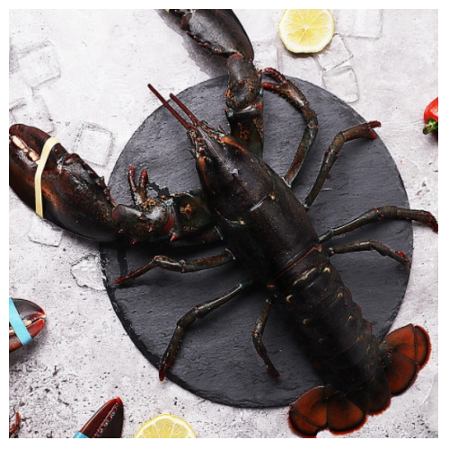 마산푸드 활 랍스터 600g내외 [1개]