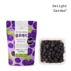 딜라잇가든 동결건조 블루베리25g 10 마이크로 드라이