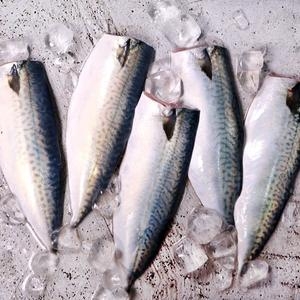 국내산 순살고등어140~160g