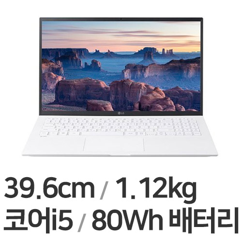 LG전자 2021 그램15 15ZD95N-GX56K (SSD 256GB)