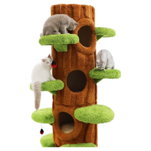 ���� 5�� �볪�� ������ ĹŸ�� PMC-6536