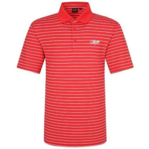 스트라이프 카라 티셔츠 IMPFTTY20476