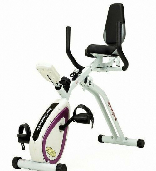 허브큐어 카루스 리컴번트 바이크