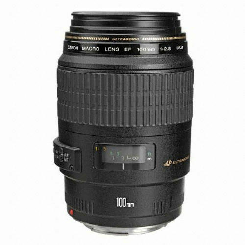 캐논 EF 100mm F2.8 MACRO USM