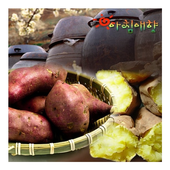 알토란과일장터 아침애향 전라도 꿀고구마 특품 5kg (1개)