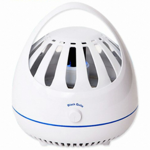  이레그린 블랙키토 BLB