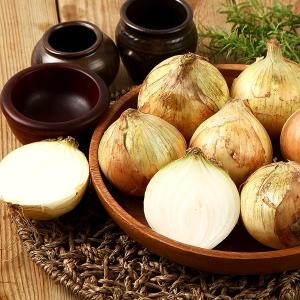 햇살조은 국내산 양파 10kg  특/요리용
