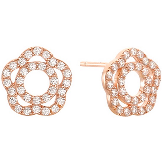 핑크 코티니 나들이꽃 핑크 SEB0006PF_이미지