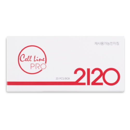 ���������� �����ϵ� 2120