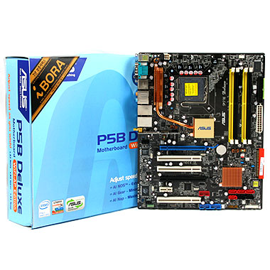 P5B Deluxe WiFi-AP 아이보라