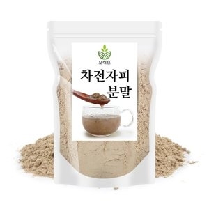 차전자피 분말 500g