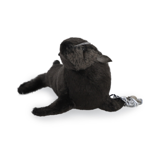 �ѻ����� �ѻ����� 6654�� �ٴٻ��� Űü�� Sea Lion Keychain 6654