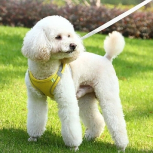 ���븶 ONM �ְ� �Ž� ���� �ÿ��� ���� �ϳ׽� ���� ��å�� 23569005