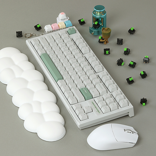 SPM PL87C ���� ����