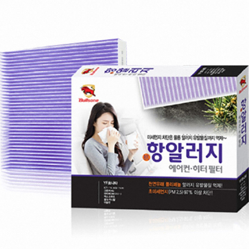 불스원 항알러지 에어컨히터 필터 6호