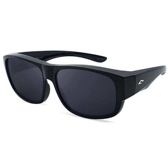 팬톤(FANTON) FFOG1